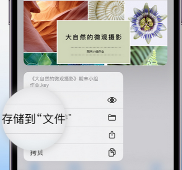 连州apple维修中心分享iPhone文件应用中存储和找到下载文件