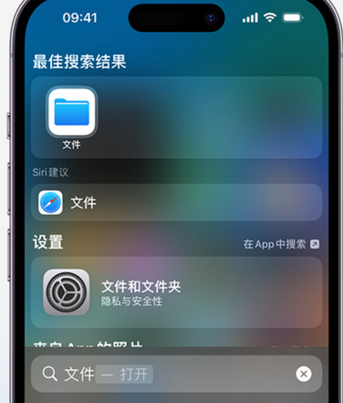 连州apple维修中心分享iPhone文件应用中存储和找到下载文件