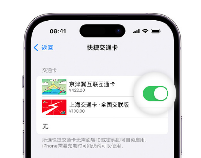 连州apple维修点分享iPhone上更换Apple Pay快捷交通卡手绘卡面 