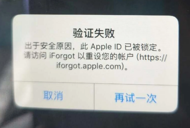 连州iPhone维修分享iPhone上正常登录或使用AppleID怎么办 