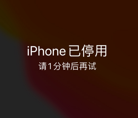 连州苹果手机维修分享:iPhone 显示“不可用”或“已停用”怎么办？还能保留数据吗？ 