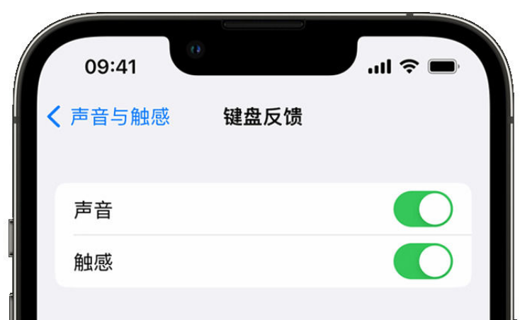 连州苹果手机维修分享iPhone 14触感键盘使用方法 