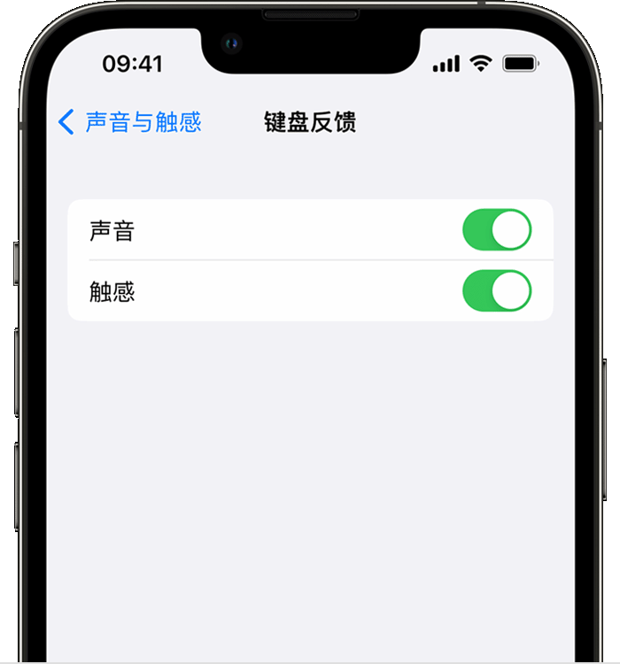 连州苹果14维修店分享如何在 iPhone 14 机型中使用触感键盘 