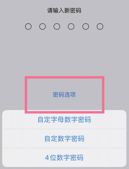 连州苹果14维修分享iPhone 14plus设置密码的方法 