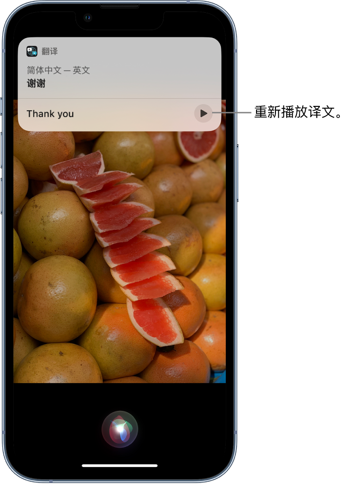 连州苹果14维修分享 iPhone 14 机型中使用 Siri：了解 Siri 能帮你做什么 