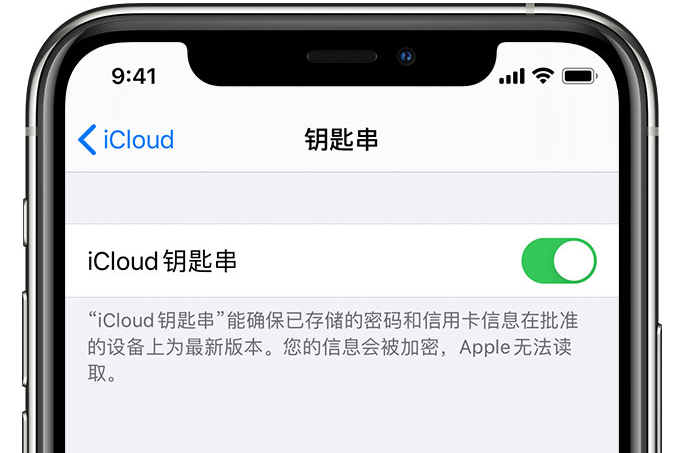 连州苹果手机维修分享在 iPhone 上开启 iCloud 钥匙串之后会储存哪些信息 